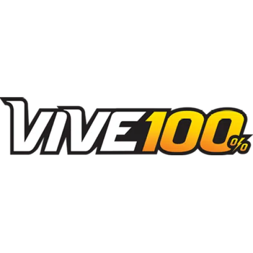 VIVE 100